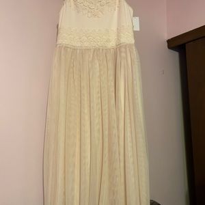 NWT Cream lace and twill dress